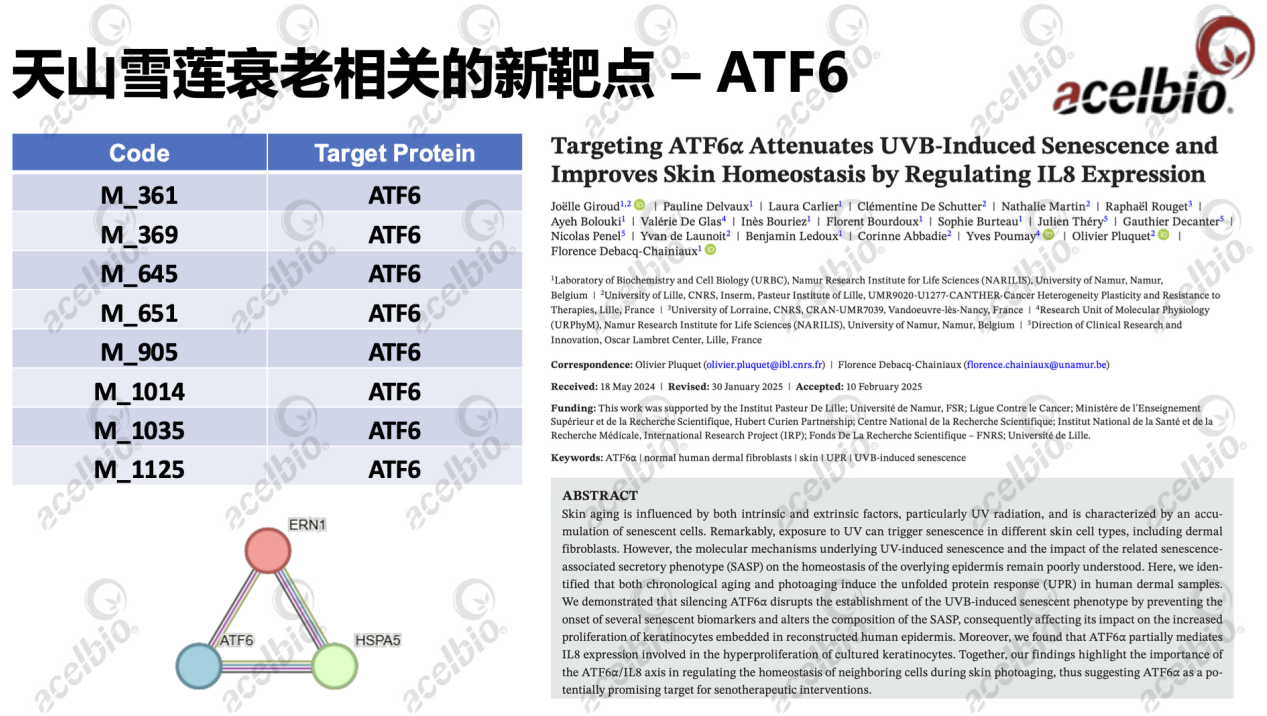 【2025 PCT】安赛搏创新原料 天山雪莲愈伤组织提取物抗衰老功效靶点挖掘(图4)