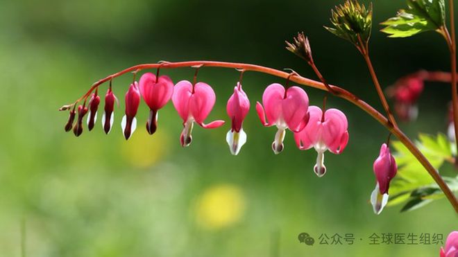 研究发现中国成年人大脑加速衰老的5个隐藏风险因素(图2)