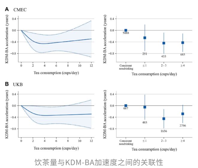 茶＋咖啡更续命！多项研究：两者同饮死亡风险直降22%骨质疏松风险锐减32%；且每天3杯茶抗衰效果最佳(图3)