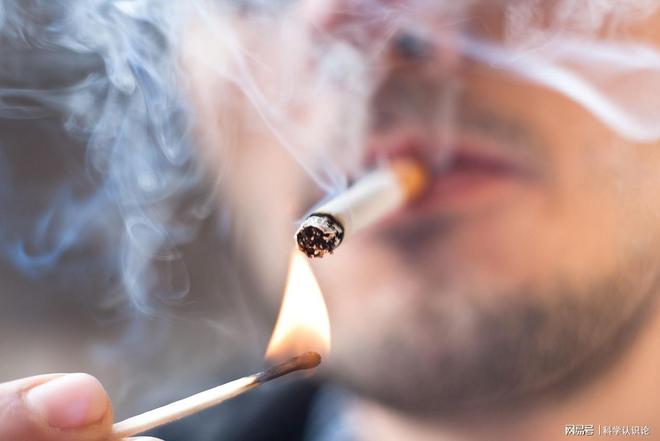 中科院为烟草“平反”！研究证实：长期低剂量摄入衰老速度减半(图3)