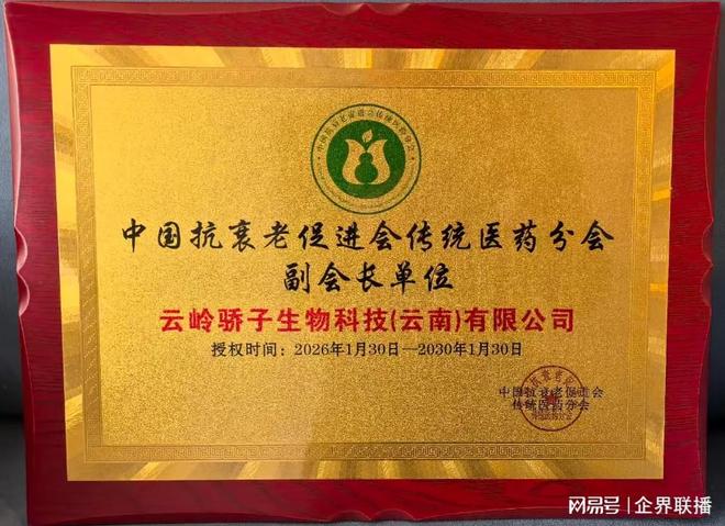 倪龙彪当选医药分会副会长 获国际工商联合会主席左丹红高度赞誉(图3)