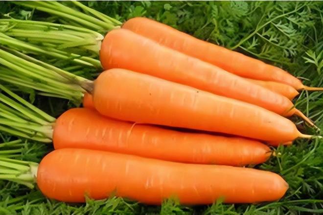 春季这3种食材对眼睛最好常吃护眼明目又通便、消除疲劳抗衰老(图4)