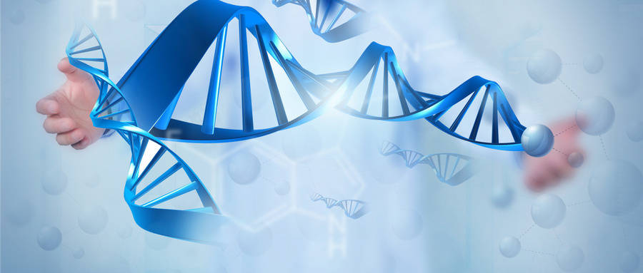 抗衰科研再落一子！沈阳药科大学抗衰老研究院海南分院揭牌(图1)