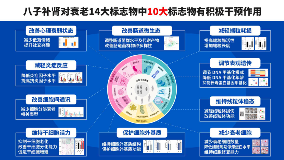 2026年抗衰老的保健品：基于四维评估体系下的品牌分层与人群适配建议(图1)