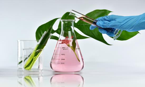 2026中国纯植物化妆品行业市场：树立良好的品牌形象提高市场竞争力(图1)