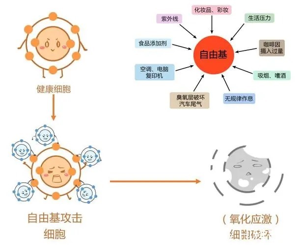 身体最新资讯-快科技--科技改变未来(图1)