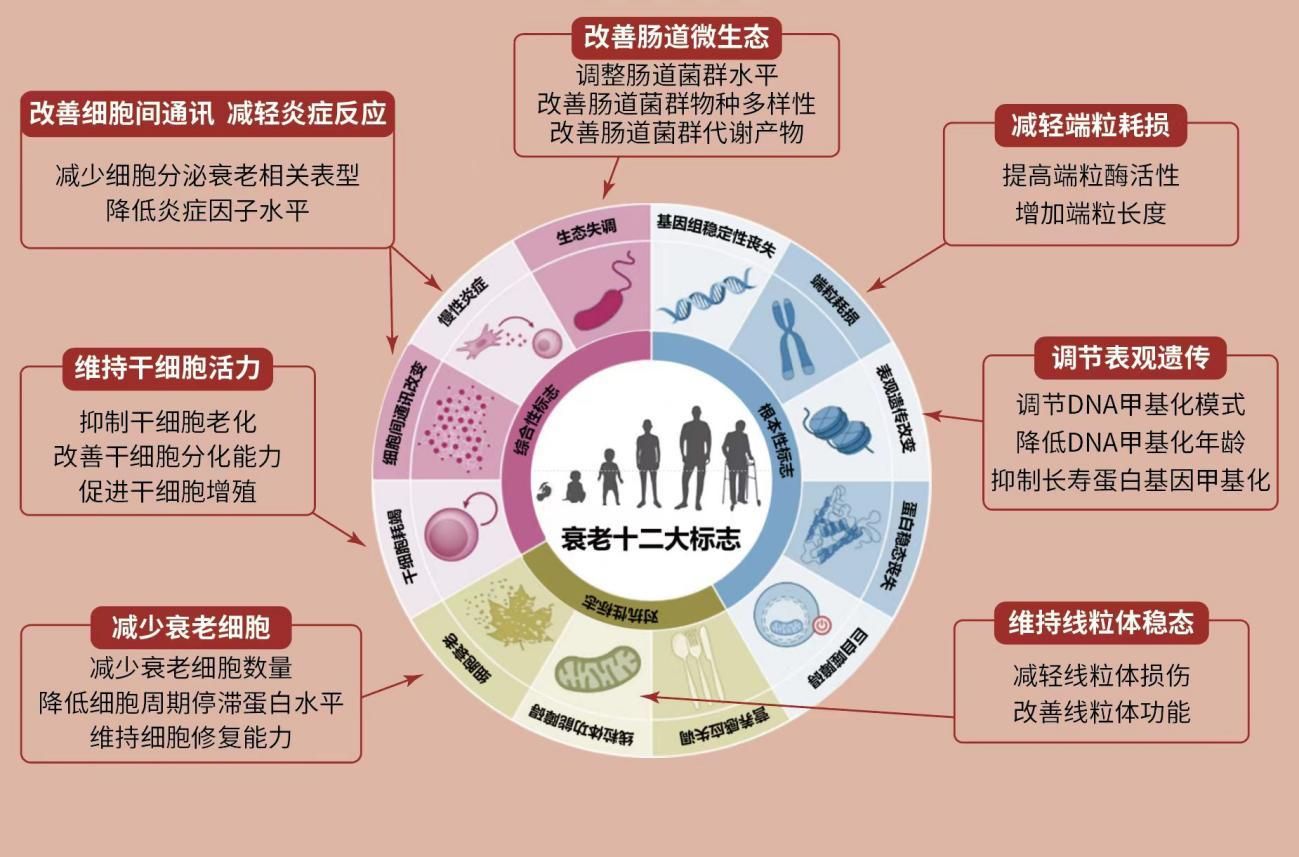 海派文化创研中心的个人主页(图1)