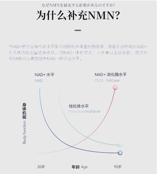 日本三井NMN到底有没有用？一文看懂抗衰老的底层逻辑(图1)