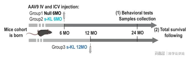 延寿20%“长寿基因股”单日暴涨788%!富豪的又一投资风口来了(图2)