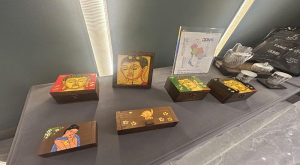 河北阳烁医疗成功举办“泰国BDMS医疗服务集团抗衰老项目”分享沙龙(图5)