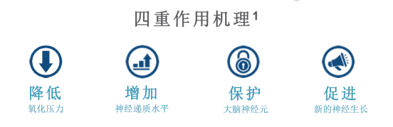 世界抗衰老TOP品牌诞生记：GRANVER吉瑞维15分钟改写细胞年龄的科技革命(图4)