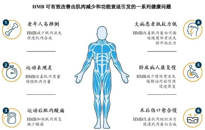 HMB全球龙头技源集团：扎根运动健康赛道凭多元布局赢长远未来(图2)