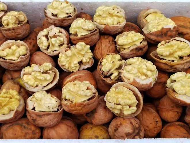 脑力、免疫力、抗衰老2元核桃带来全能效果！(图1)