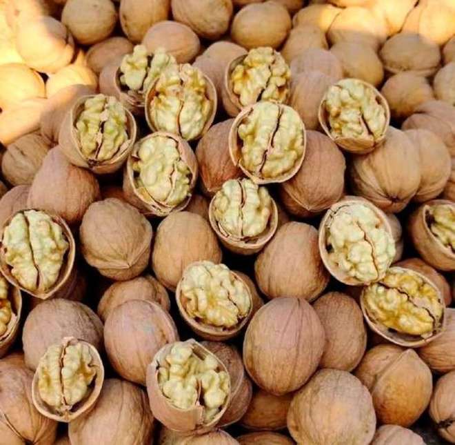 脑力、免疫力、抗衰老2元核桃带来全能效果！(图3)