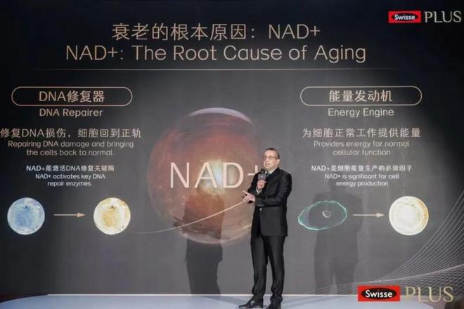 健合Swisse PLUS借高端沙龙发布NAD+新品引领细胞级抗衰新趋势(图10)