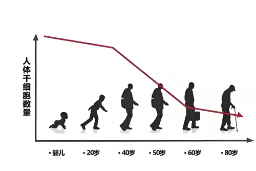 细胞抗老成“香饽饽”倍愈粒口服品走热中产源头激发细胞活力(图2)