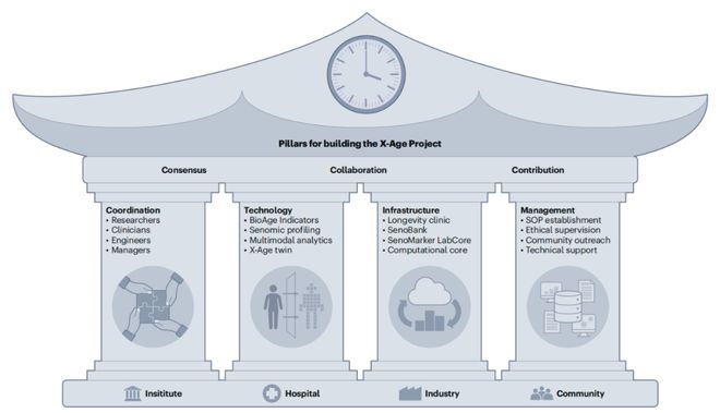 构建中国人衰老时钟200多位中国学者联合推出X-Age项目（耄耋计划）推动健康长寿研究(图6)
