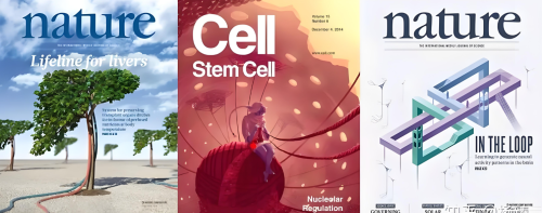 NMN哪个牌子好又安全？2025年全球NMN排行榜大洗牌这个品牌竟然排第一名(图1)