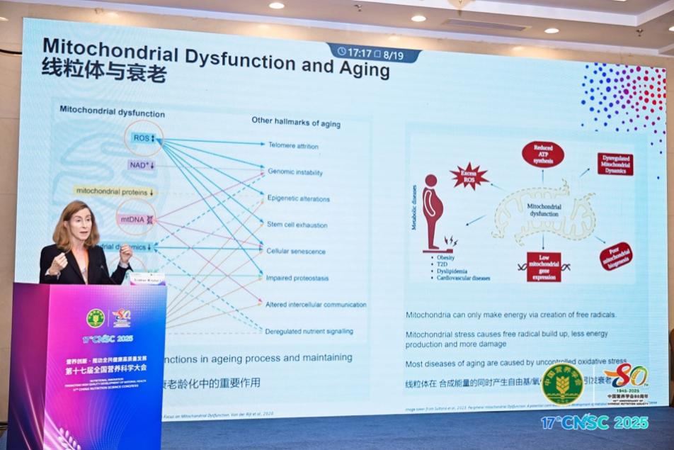 新西兰细胞健康品牌MitoQ亮相全国营养科学大会探讨线粒体营养抗衰新路径(图2)