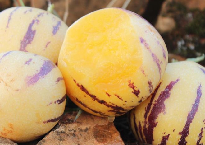 秋季使劲吃这果一抗衰老二降三高三抗疲劳四升免疫别错过(图3)