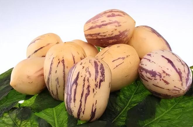 秋季使劲吃这果一抗衰老二降三高三抗疲劳四升免疫别错过(图4)