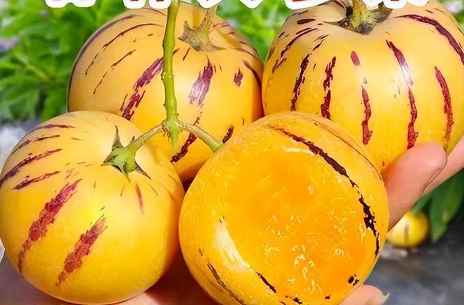 秋季使劲吃这果一抗衰老二降三高三抗疲劳四升免疫别错过(图16)