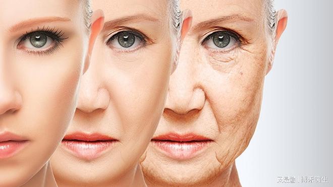 50岁女人吃什么抗衰老(图1)