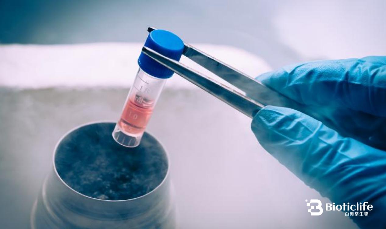 焦虑的身体需要科学的确定性——百奥蒂（BIOTICLIFE）解读干细胞的答案(图1)