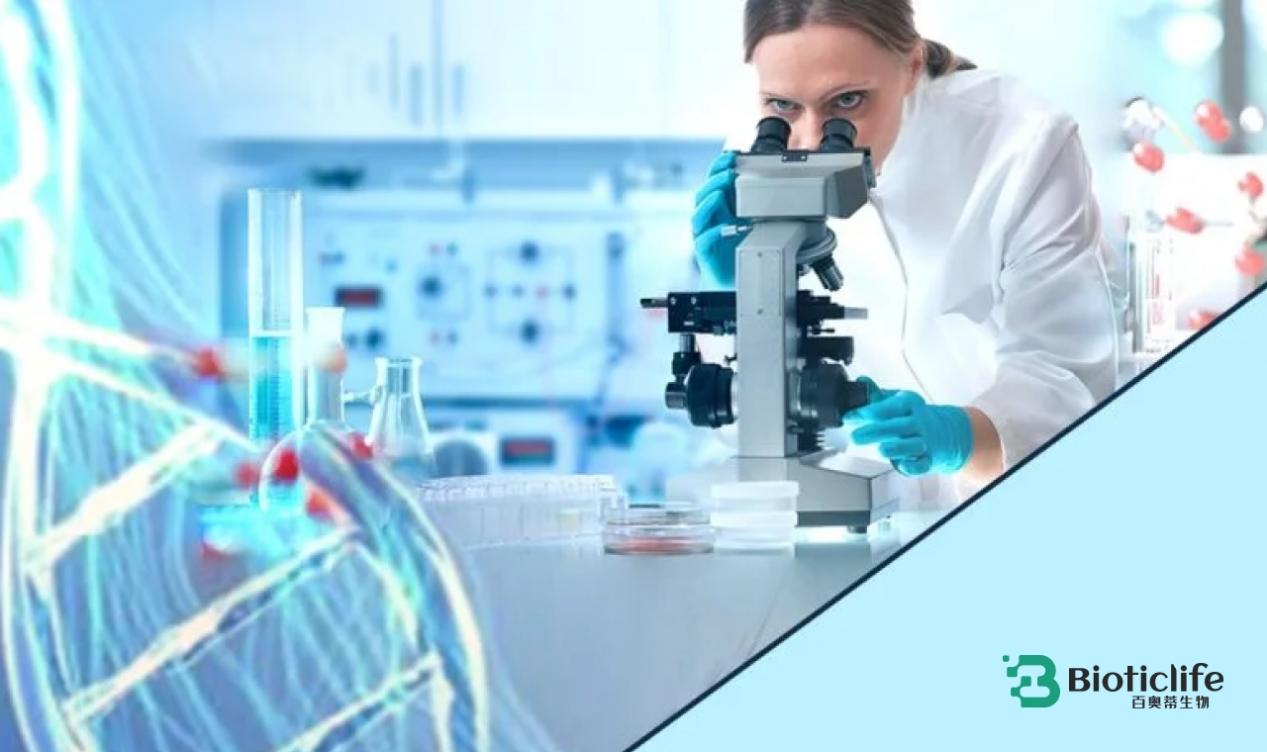 焦虑的身体需要科学的确定性——百奥蒂（BIOTICLIFE）解读干细胞的答案(图4)