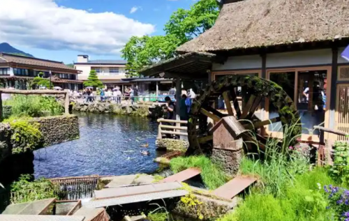 日本长寿村的新发现NMN揭开百岁人生的密码(图1)