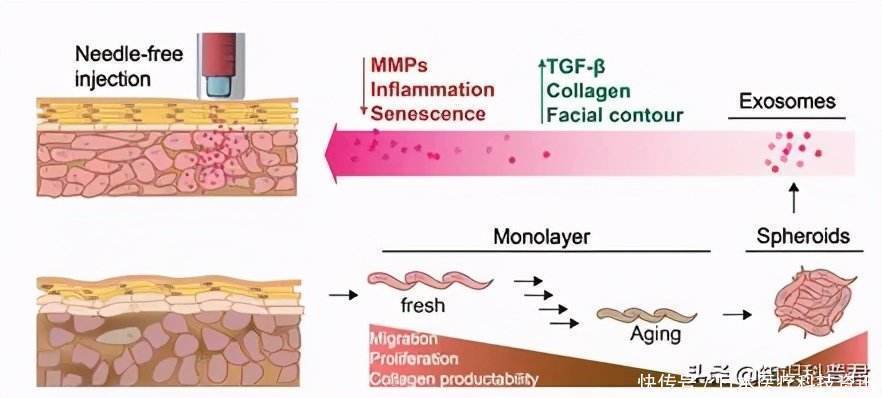 中美日百岁老人数量对比：日本9万多、美国10万多人中国呢？(图1)