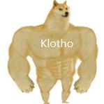 延寿、增肌、护脑一把抓！资本联合押注青春蛋白抗衰疗法升级了(图3)