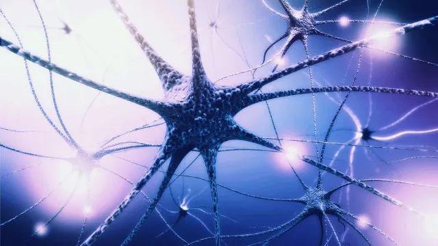 每天走多少步能延缓大脑衰老7年？新研究：不用1万步达到这个数就够了(图3)