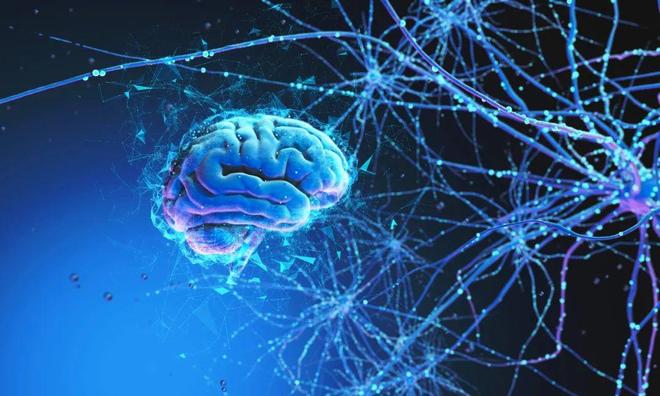 对线亿欧元资深投资人眼中的抗衰老热点 Bilingual(图4)