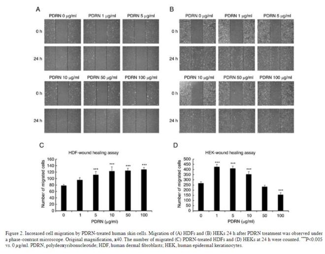 今年最火的医美原料华熙生物、江苏吴中、欧莱雅等巨头已下场(图6)