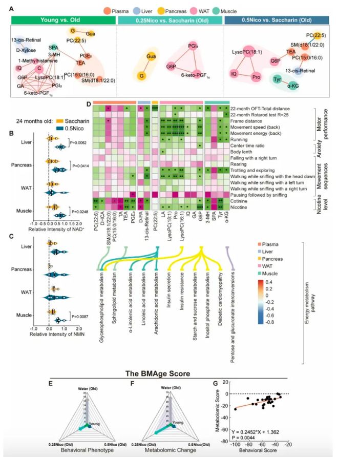 3亿烟民沸腾了！中科院尼古丁抗衰研究出炉：持续摄入死亡率降40%(图2)
