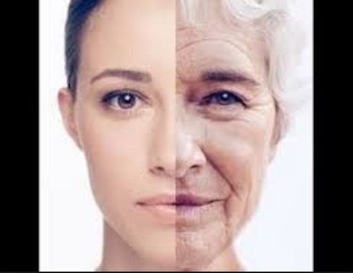 中国老龄化挑战的全景应对丨《Nature Aging》最新研究深入解读(图1)
