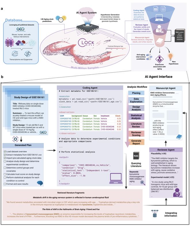 AI自主发现长寿药物：中国学者开发AI智能体平台从海量数据中挖掘出数百种抗衰老干预措施(图3)