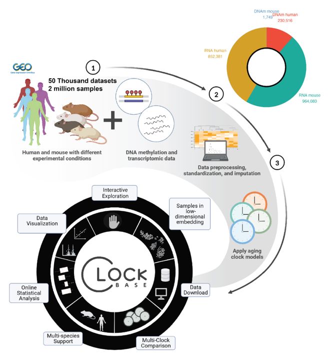 AI自主发现长寿药物：中国学者开发AI智能体平台从海量数据中挖掘出数百种抗衰老干预措施(图5)
