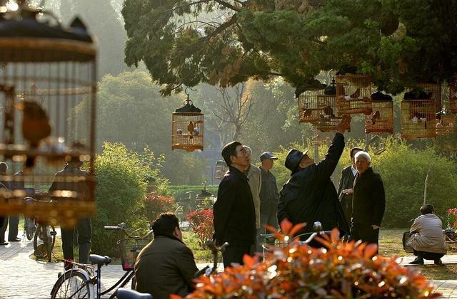 岁月淬炼的生命复利：八子补肾如何书写“健康寿命”新篇(图2)