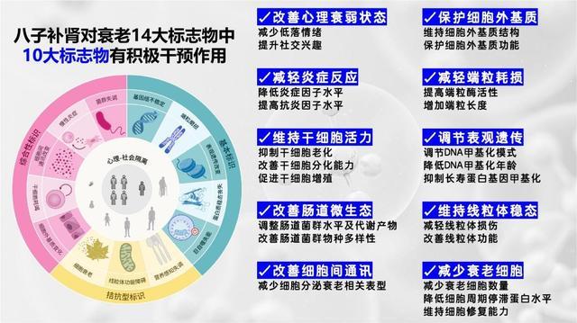 岁月淬炼的生命复利：八子补肾如何书写“健康寿命”新篇(图3)
