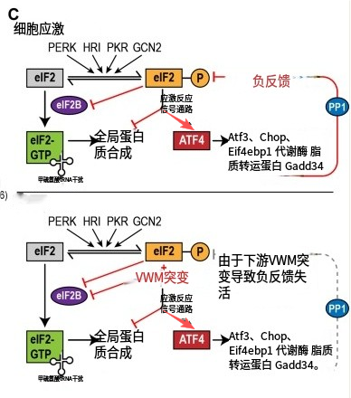 百人团队面临裁撤！谷歌124亿“抗衰老”计划重创与艾伯维终止11年合作(图8)
