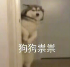 百人团队面临裁撤！谷歌124亿“抗衰老”计划重创与艾伯维终止11年合作(图12)