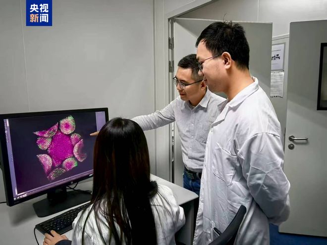 科研新突破！中国科学家破解植物再生密码(图2)