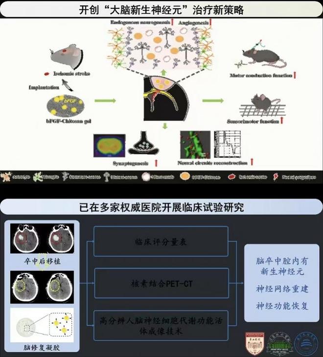 大脑神经能再生器官衰老可量化！中国生命科学十大进展出炉(图2)