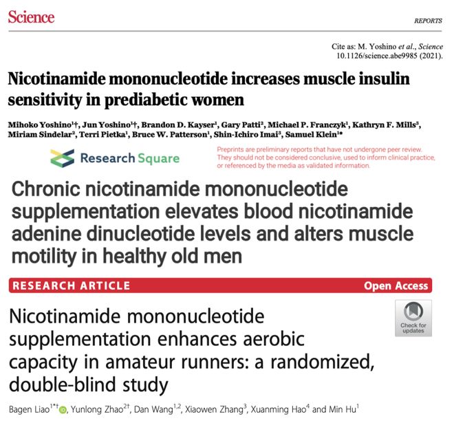 FDA正式批准NMN合法身份抗衰教父辛克莱垄断市场想法落空(图5)