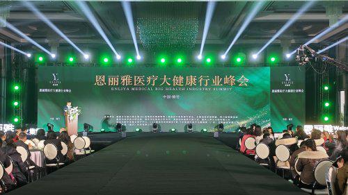 恩丽雅医疗大健康行业峰会在四川绵竹举行(图1)