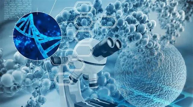 粒影生物 战略并购「超缇塑®」实现「胶原+超声」一体化布局(图3)