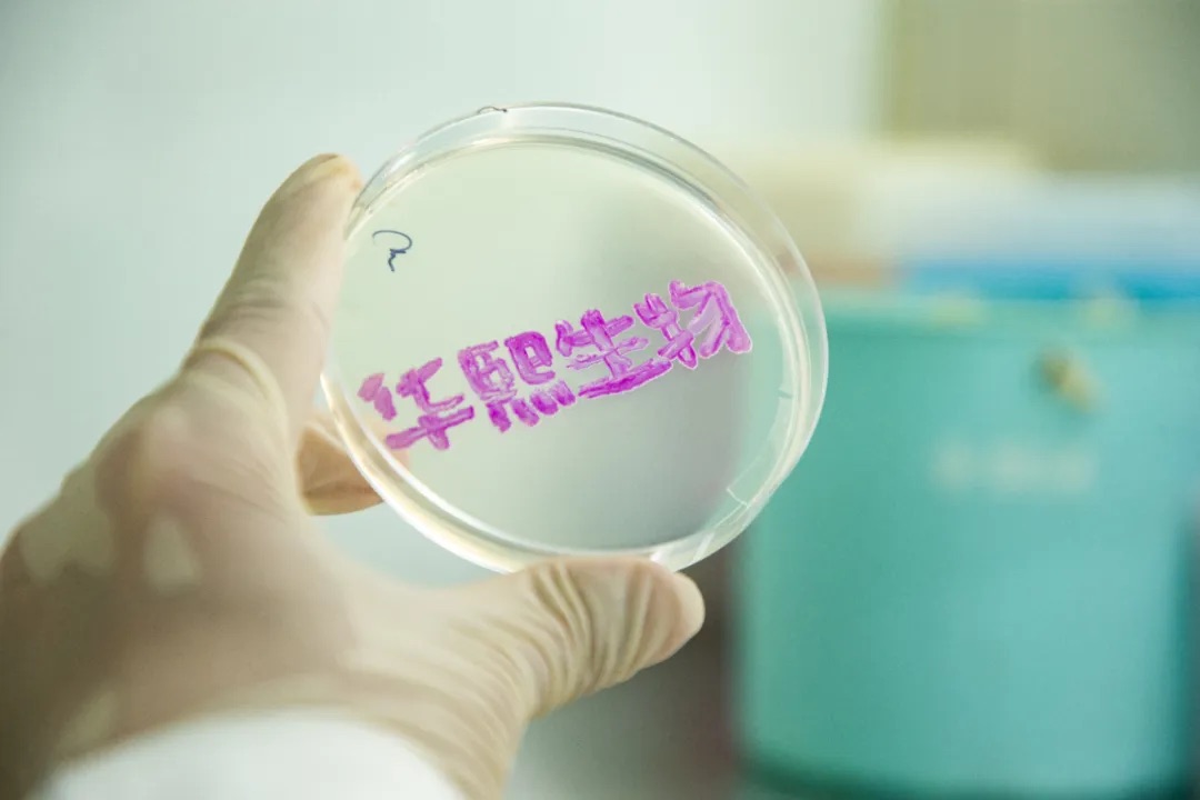 华熙生物攻克PDRN技术难点合成生物学引领成分创新新高度(图2)