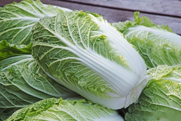冬天推荐多吃白菜 防癌通便又抗衰老(图1)